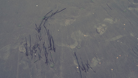 Similar image 21405814