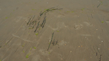 Similar image 21405903