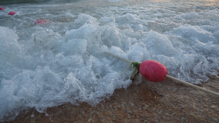 Similar image 21405904