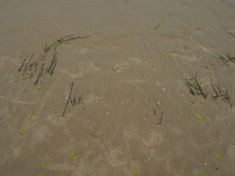 Similar image 21406005