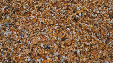 Similar image 21406007