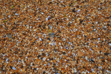 Similar image 21406128