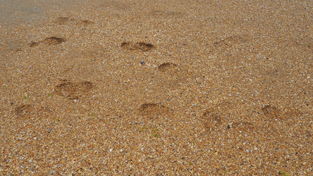 Similar image 21406132