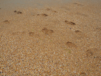 Similar image 21406133