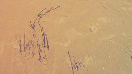 Similar image 21406134