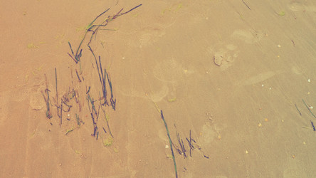 Similar image 21406136