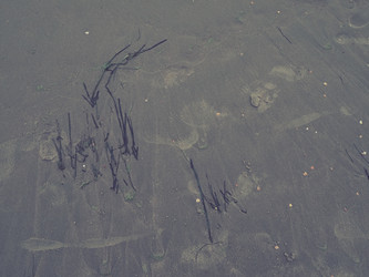 Similar image 21406326