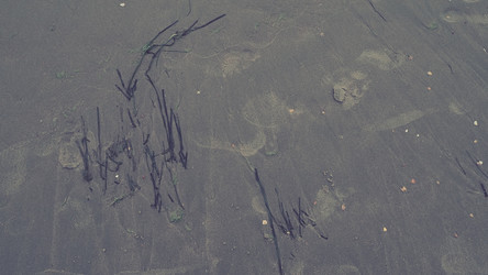 Similar image 21406328