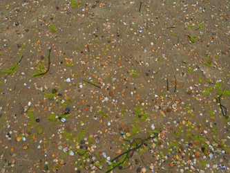 Similar image 21406331