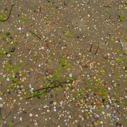 Similar image 21406333