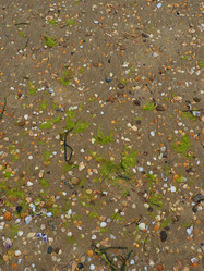 Similar image 21406334