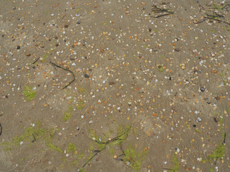 Similar image 21406335