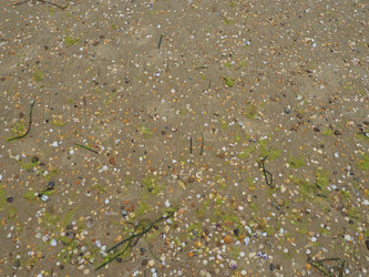 Similar image 21415695