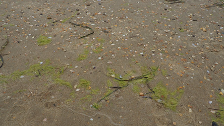 Similar image 21415697