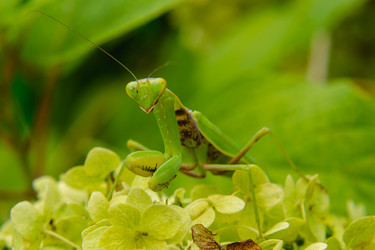 Similar image 21385594