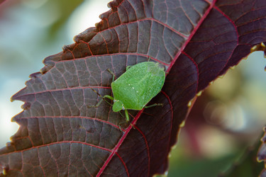 Similar image 21383866