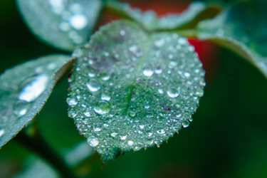 Similar image 21383869