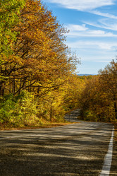 Similar image 21399863