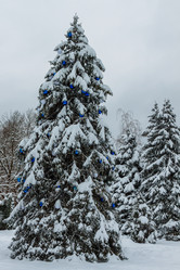 Similar image 21383922