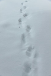 Similar image 21383924