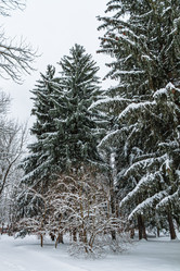 Similar image 21383926