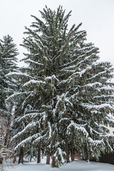 Similar image 21383927