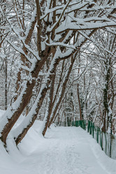 Similar image 21383930