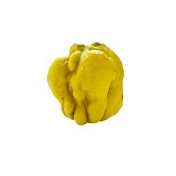 Similar image 21383935