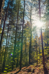 Similar image 21385632