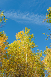 Similar image 21383949