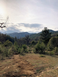 Similar image 21421832