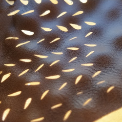 Similar image 21406139