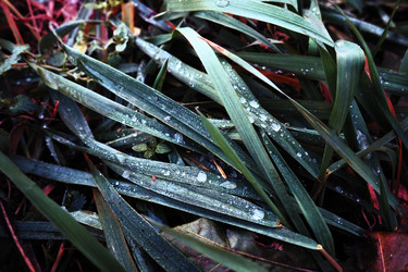 Similar image 21416844