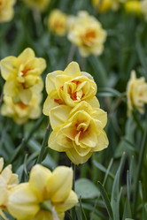 Similar image 21384638