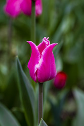 Similar image 21384639