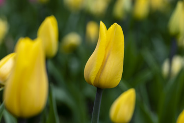 Similar image 21384641