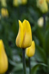 Similar image 21384642