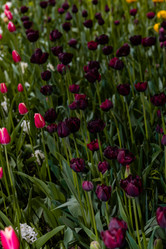 Similar image 21384647