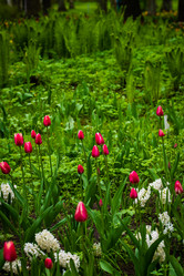 Similar image 21384648