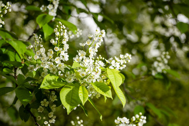 Similar image 21384649