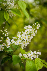 Similar image 21384650