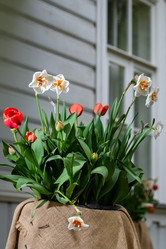 Similar image 21384652