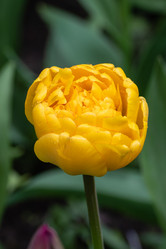 Similar image 21384656