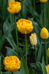 Similar image 21384657