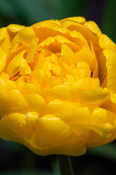 Similar image 21384658