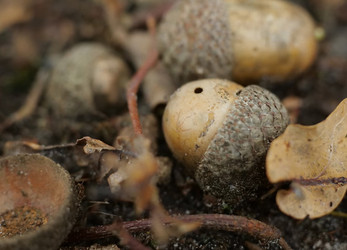 Similar image 21382187