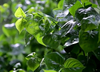 Similar image 21382188