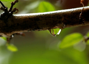 Similar image 21382189