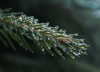 Similar image 21382190