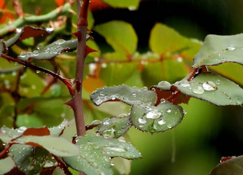 Similar image 21382191